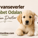 Hayvanseverler Sohbet Odaları ile Can Dostlar